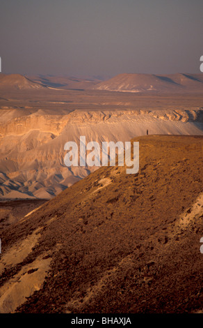 Negev Desert,Wadi Zin, Wilderness of Zin , Israel, Sde Boker Stock