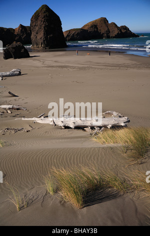 Two people and dog walking on beach with drift logs and rocky shore Oregon, USA Stock Photo