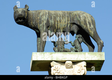 statue of Romulus & Remus suckling on the Wolf in the Plaza of Miracles beside the Leaning Tower of Pisa. Stock Photo