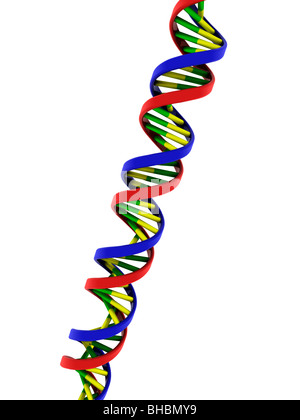 DNA double helix model Stock Photo