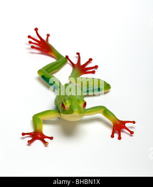 plastic toy frog Stock Photo - Alamy