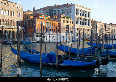 Venice, Veneto, Italy. Gondolas moored on the Grand Canal. Stock Photo