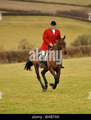 whipper in to foxhounds Stock Photo