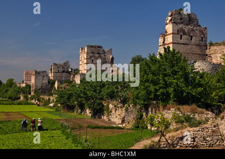 Farming along the old city walls. Istanbul, Turkey Stock Photo