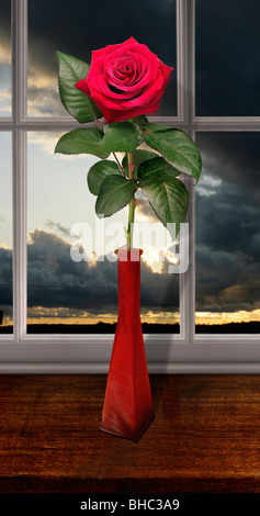 red rose on window seal with dark sky before sun set Stock Photo