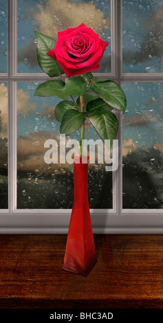 red rose on window seal during a rainy day Stock Photo