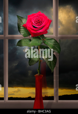 red rose on window seal with dark sky at sunset under a spot light Stock Photo