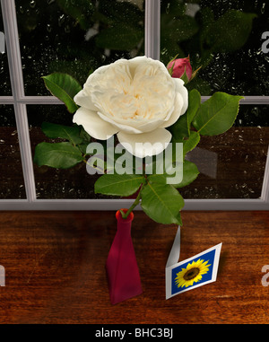 white rose in a red vase on a window seal with a greeting card during a rainy night Stock Photo