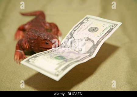 Wooden komodo dragon lizard souvenir carving biting US five dollar bill currency bank note in it's mouth Stock Photo