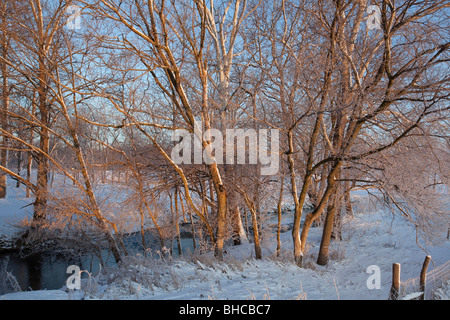 New Palestine, Indiana - A rising sun lights up frost crystals on tree