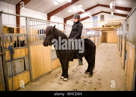 Woman sitting on a horse in horse house. Skagafjordur Iceland Stock Photo