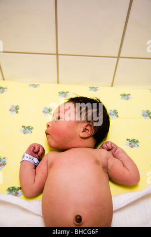 18 hours old boy at the maternity ward. Stock Photo