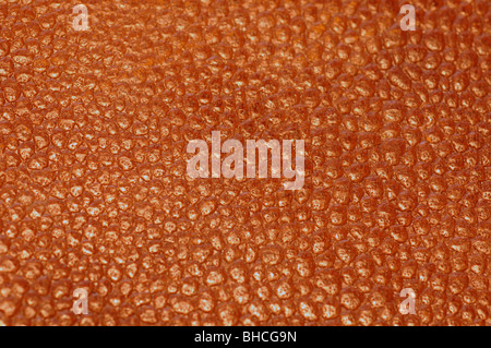 Old leather book cover Stock Photo
