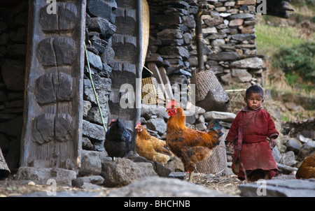CHICKENS and a NEPALI boy in the village of BIHI - AROUND MANASLU TREK, NEPAL Stock Photo