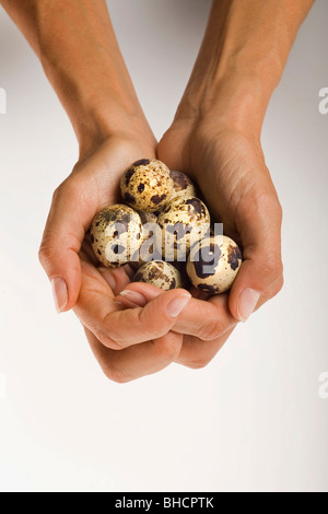 Hands cradling birds eggs Stock Photo