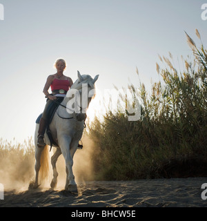 Woman riding horse on the beach Stock Photo