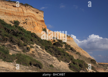 clay and gravel cliff at Barton on Sea showing strata and erosion Stock Photo