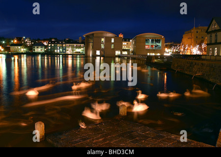 The Pond with birds, Reykjavik Iceland Stock Photo