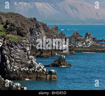 Arnarstapi, Snaefellsnes peninsula, Iceland Stock Photo