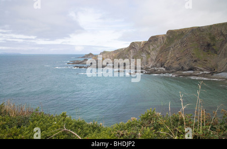 Hartland quay in north devon coast Stock Photo