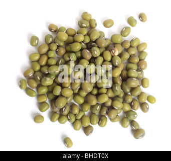 A group of mung beans on a white background, seen from above