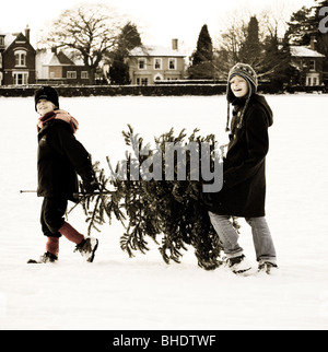 Two boys laughing as they carry a Christmas tree across a snowy  field wearing hats, coats and scarfs in winter Stock Photo