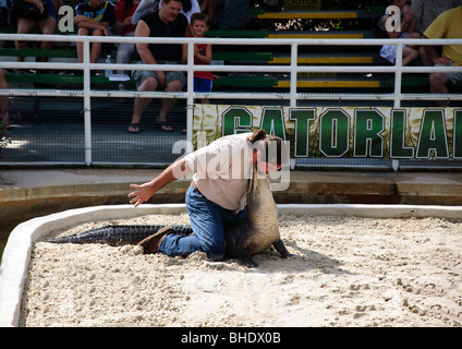 Alligator  wrestling in Gatorland Orlando Florida FL Stock Photo