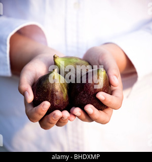 woman's hand holding figs Stock Photo