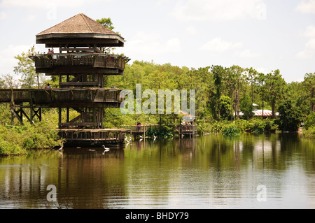 swamp look-out tower in gatorland florida FL orlando Stock Photo