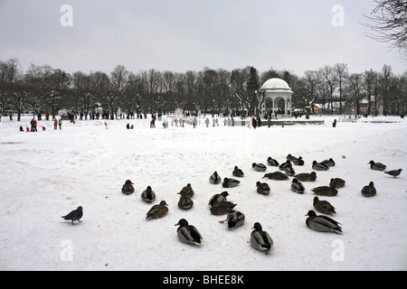 Snow scenes in Kadrioru Park, Kadriorg district, Tallinn, Estonia. Stock Photo