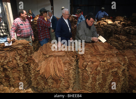 Tobacco buyers bid on bundles of tobacco during the annual tobacco auctions April 7, 1998 in Hughesville, MD. Stock Photo