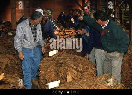 Tobacco buyers bid on bundles of tobacco during the annual tobacco auctions April 7, 1998 in Hughesville, MD Stock Photo