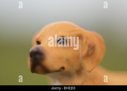 plastic model of a golden retriever photographed outdoors. Stock Photo
