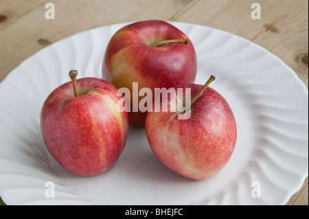 RED EATING APPLES ON WHITE PLATE ON WOODEN TABLE Stock Photo