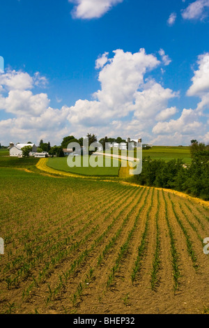 view of farms, Pennsylvania Dutch country, Lancaster County, PA, USA ...