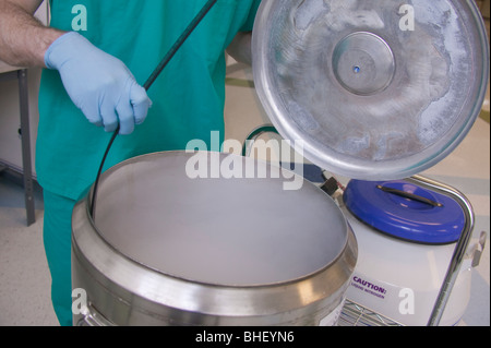 Scientist working on a liquid nitrogen container Stock Photo