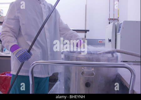 Scientist working on a liquid nitrogen container Stock Photo