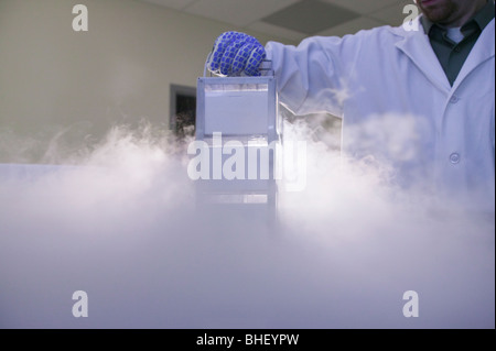 Scientist removing tissue samples from a storage tank of liquid nitrogen Stock Photo