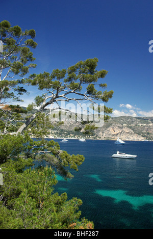 St Jean Cap Ferrat (06) : Boats lying at anchor in the area of La Paloma beach Stock Photo