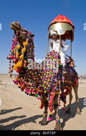 Camel with traditional decoration. Jaisalmer Desert festival. Rajasthan. India Stock Photo