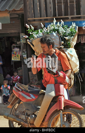 Travelling salesman with flowers and motorbike looking at his cell phone, Mae Rim Valley, Hmong village, Province Chiang Mai, Th Stock Photo