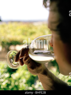 Glass of white wine from vineyards of Pouilly-Fume appelation, near ...