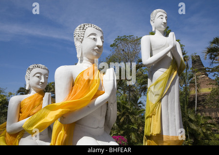 Buddha statues wearing monks' robes at Wat Yai Chai Mongkhon, Ayutthaya, Province Ayutthaya, Thailand, Asia Stock Photo