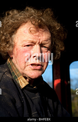 Irish farmer, County Limerick Stock Photo