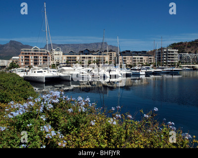 Marina with Apartment Buildings Victoria & Alfred Waterfront with  Devil's Peak, Table Mountain Cape Town South Africa Stock Photo