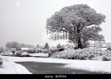 Boats frozen into their moorings with snow covering the iced up Bridgewater canal and a snow covered branch in the foreground Stock Photo