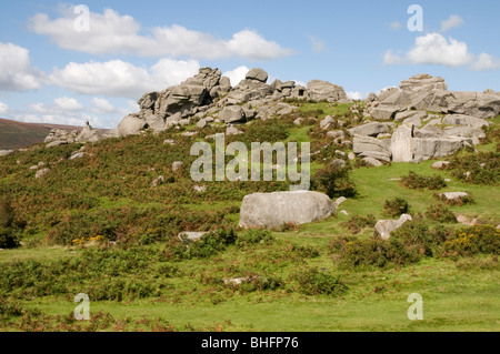 Bonehill Rocks on Dartmoor Stock Photo