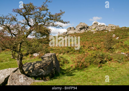 Bonehill Rocks on Dartmoor Stock Photo