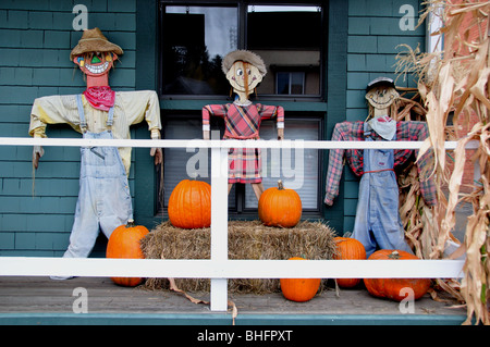 USA, Idaho, McCall, Autumn Harvest Decoration in front of a small business Stock Photo