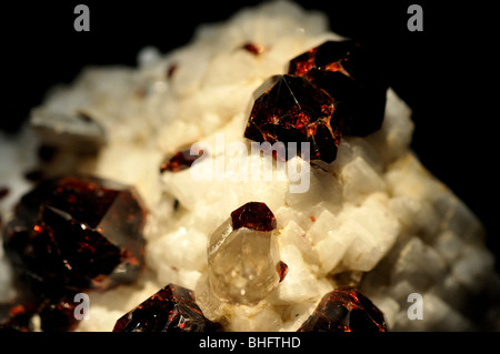 Spessartine garnet crystals in albite. Stock Photo